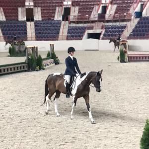 Meet your Posher, Paula